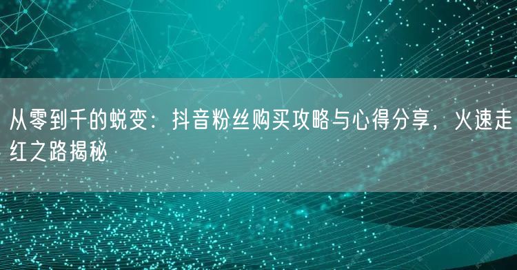 从零到千的蜕变:抖音粉丝购买攻略与心得分享,火速走红之路揭秘