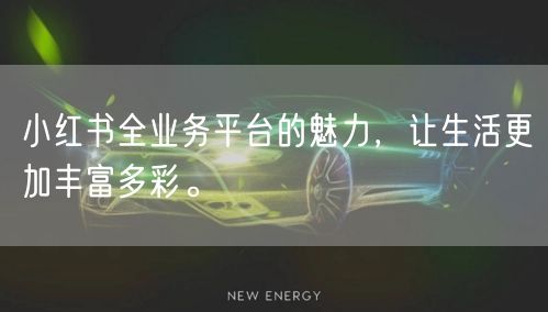 小红书全业务平台的魅力，让生活更加丰富多彩。