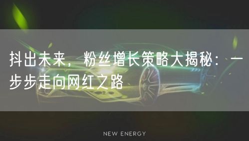 抖出未来，粉丝增长策略大揭秘：一步步走向网红之路