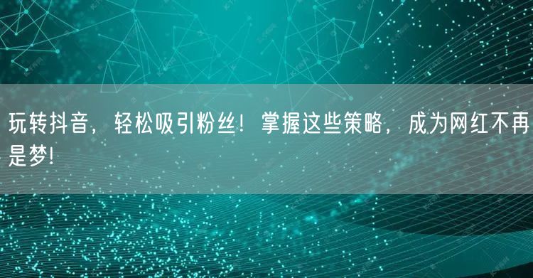 玩转抖音,轻松吸引粉丝!掌握这些策略,成为网红不再是梦!