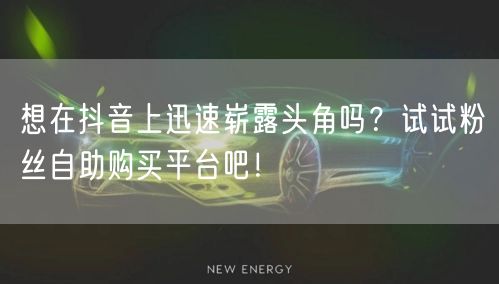 想在抖音上迅速崭露头角吗?试试粉丝自助购买平台吧!
