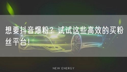 想要抖音爆粉？试试这些高效的买粉丝平台！