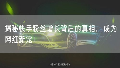 揭秘快手粉丝增长背后的真相,成为网红新宠!