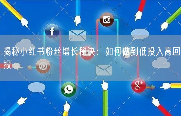 揭秘小红书粉丝增长秘诀：如何做到低投入高回报