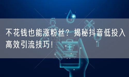 不花钱也能涨粉丝？揭秘抖音低投入高效引流技巧！