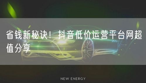 省钱新秘诀!抖音低价运营平台网超值分享