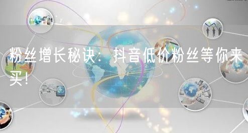 粉丝增长秘诀：抖音低价粉丝等你来买！