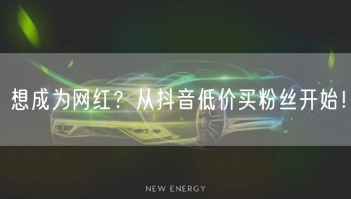 想成为网红？从抖音低价买粉丝开始！