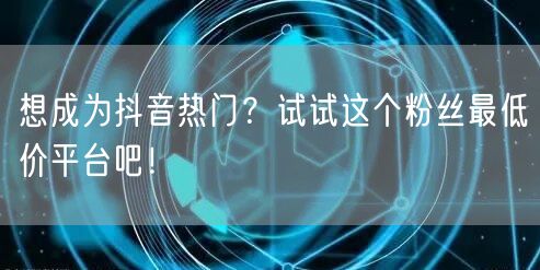 想成为抖音热门？试试这个粉丝最低价平台吧！