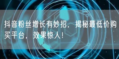 抖音粉丝增长有妙招，揭秘最低价购买平台，效果惊人！