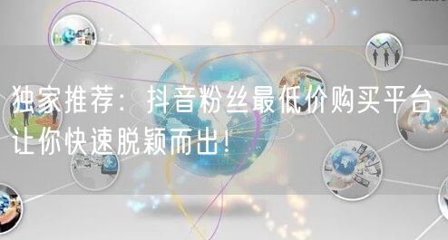 独家推荐：抖音粉丝最低价购买平台，让你快速脱颖而出！