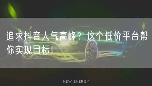 追求抖音人气高峰？这个低价平台帮你实现目标！