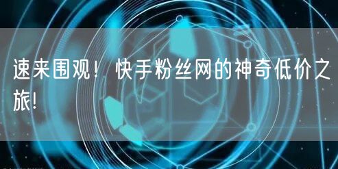 速来围观！快手粉丝网的神奇低价之旅!