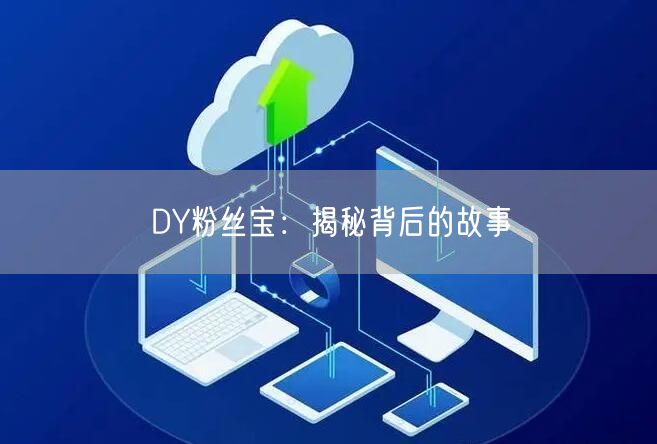 DY粉丝宝：揭秘背后的故事