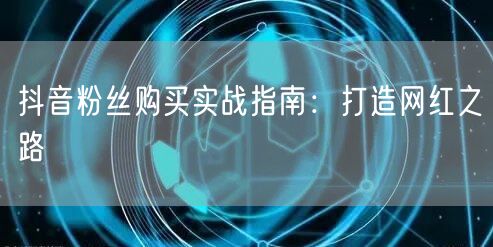 抖音粉丝购买实战指南:打造网红之路