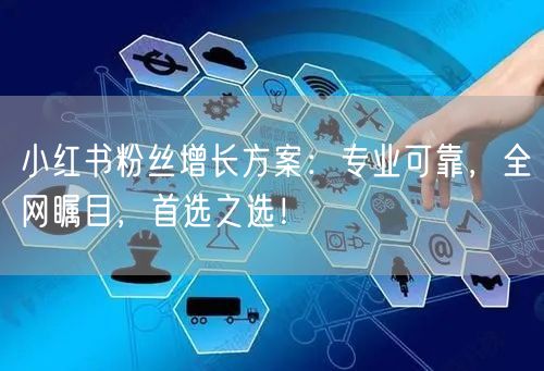 小红书粉丝增长方案：专业可靠，全网瞩目，首选之选！