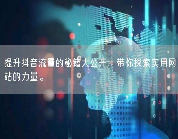 提升抖音流量的秘籍大公开：带你探索实用网站的力量。